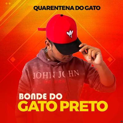 Tu Vai Balançando a Bunda By Bonde do gato preto's cover