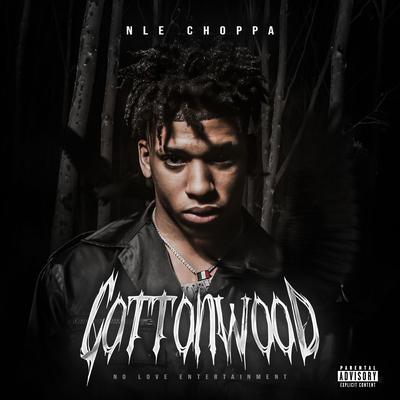 Shotta Flow (feat. Blueface) [Remix] By NLE Choppa, Blueface's cover