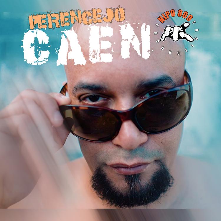Perencejo's avatar image
