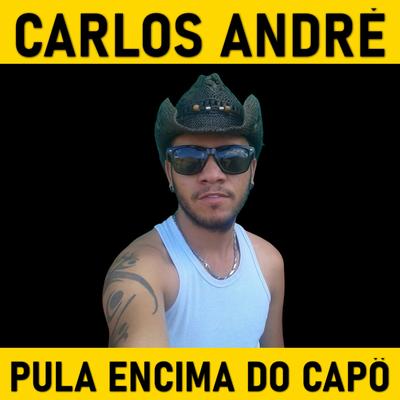 Pula Encima do Capô's cover