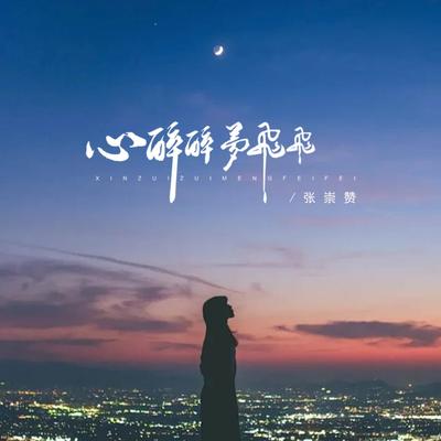 心醉醉 梦飞飞 (伴奏)'s cover