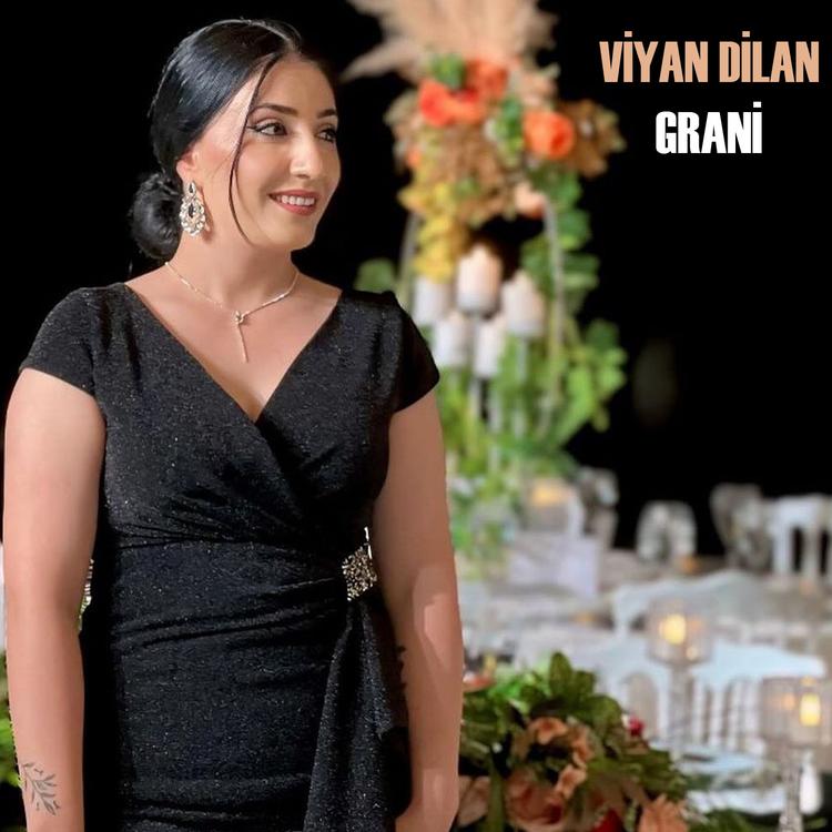 Viyan Dilan's avatar image