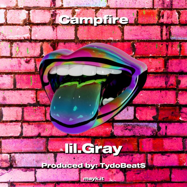 lil.Gray's avatar image