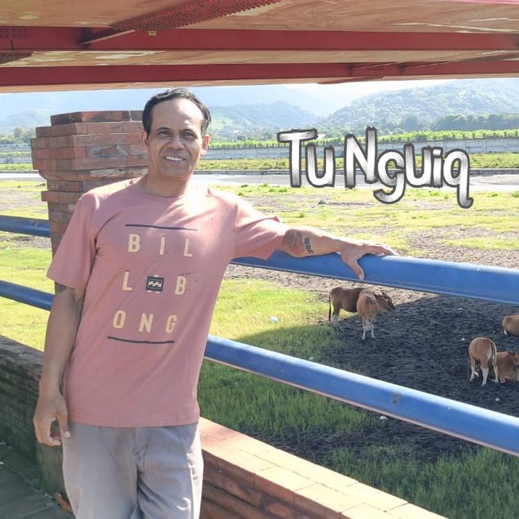 Tu Nguiq's avatar image