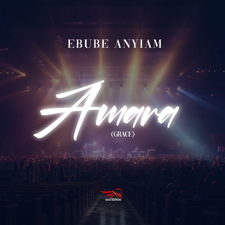 Ebube Anyiam's avatar image