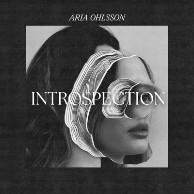 Introspection's cover