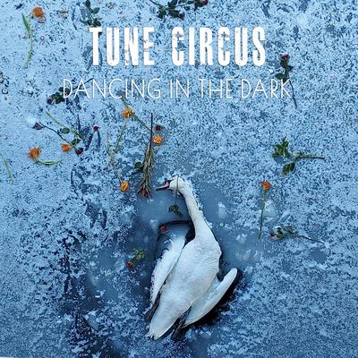 Dancing In The Dark By Tune Circus's cover