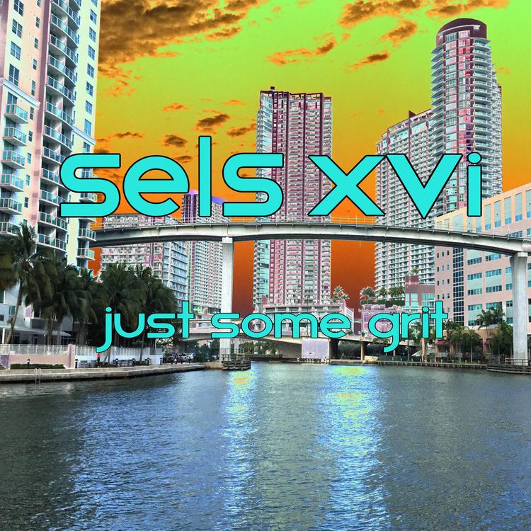 SELS XVI's avatar image