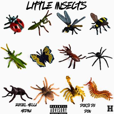 Little Insects's cover