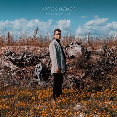 The Conversation (Stripped) By James Walker's cover