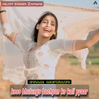 Aslam Singer Zamidar's avatar cover