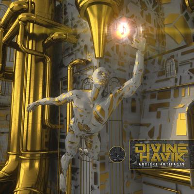 Divine Havik's cover