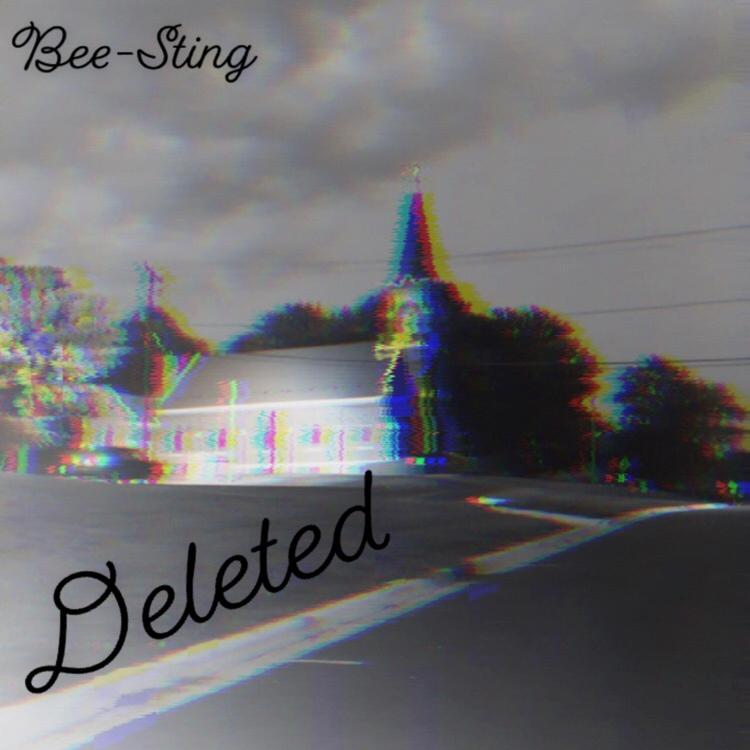 bee sting's avatar image