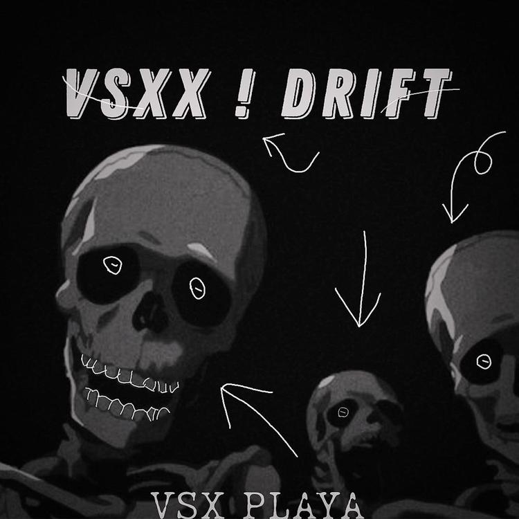 VSX PLAYA's avatar image