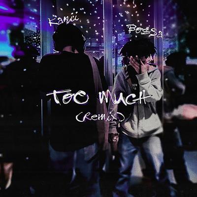 Too Much (Remix)'s cover