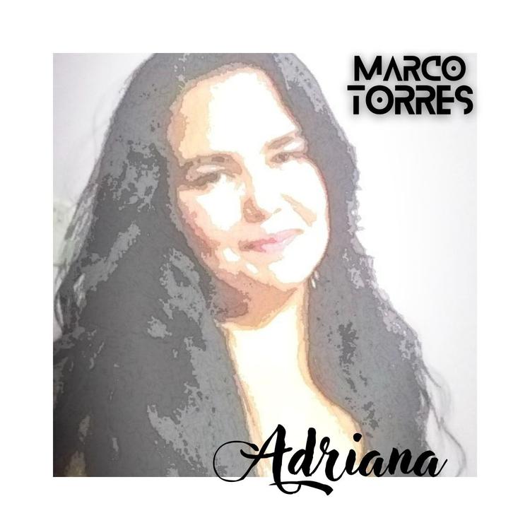 Marco Torres's avatar image