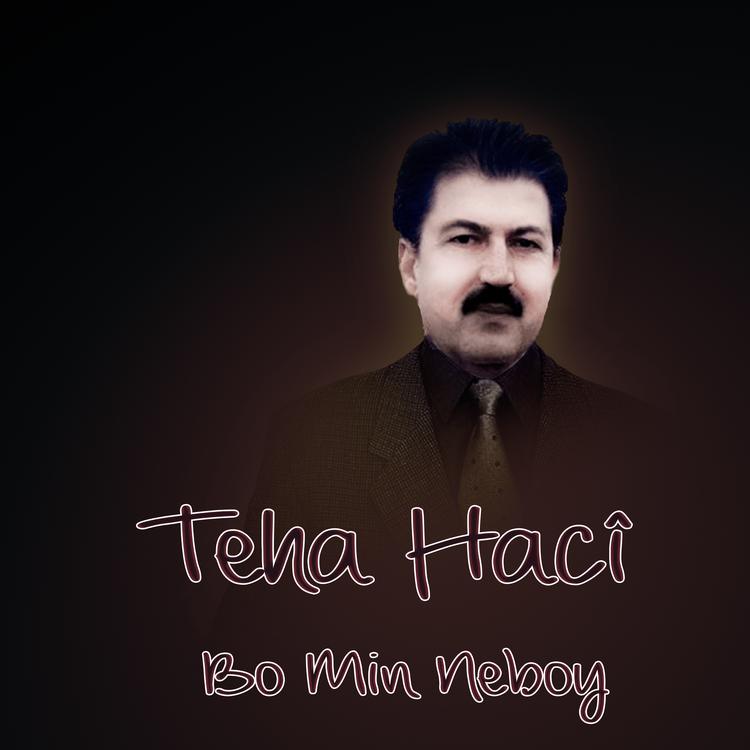 Teha Hacî's avatar image