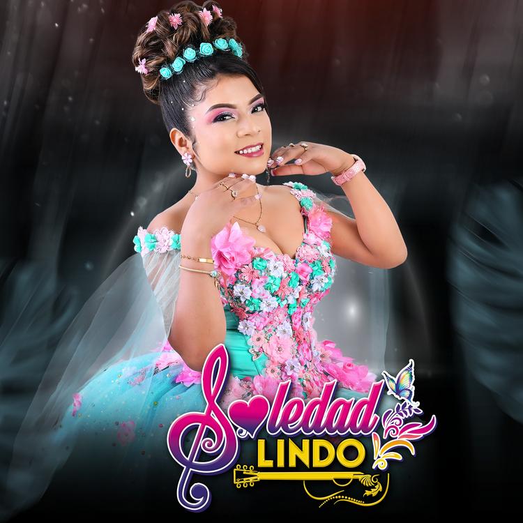 Soledad Lindo's avatar image