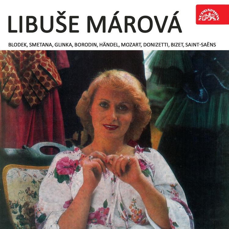 Libuse Marova's avatar image