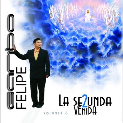 Juventud Levanta el Vuelo By Felipe Garibo's cover