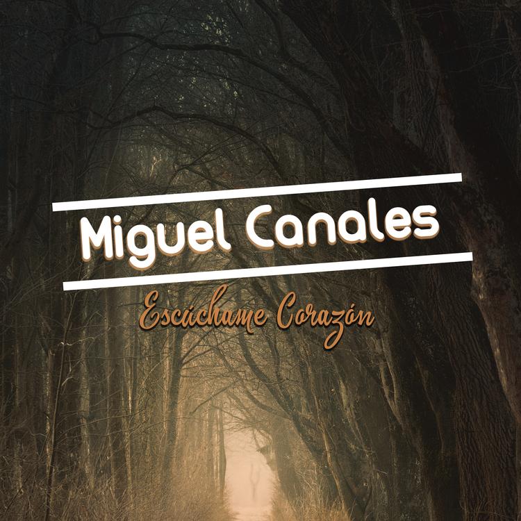 Miguel Canales's avatar image