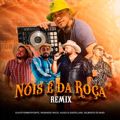 Nóis é da Roça (Remix)'s cover