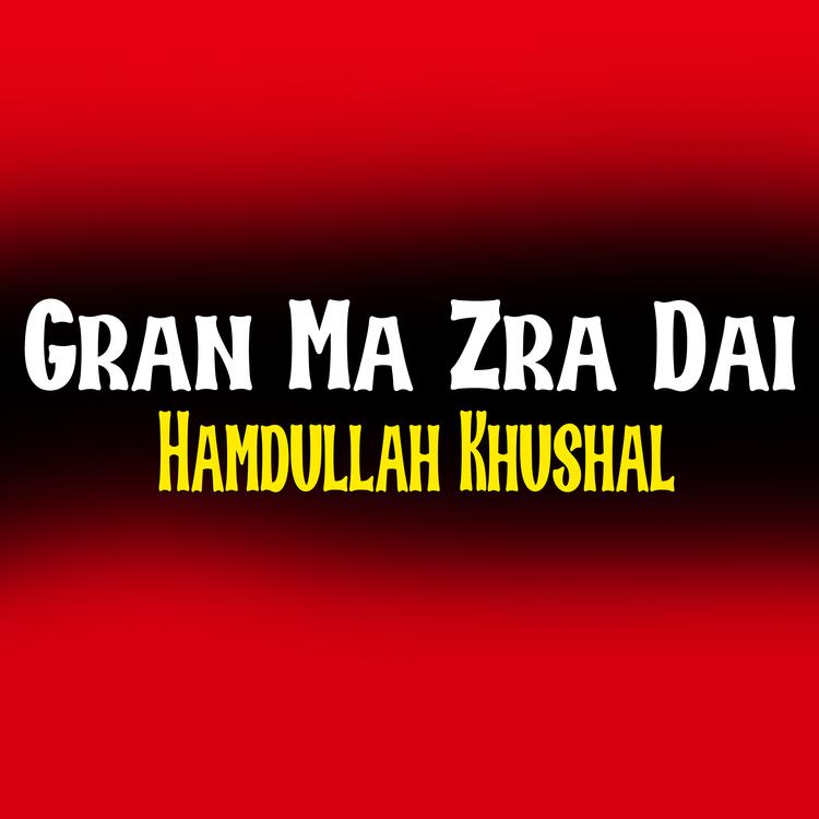 Hamdullah Khushal's avatar image