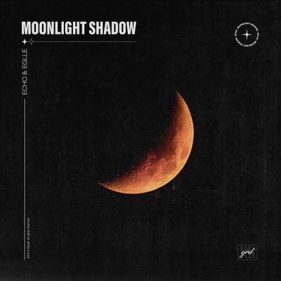 Moonlight Shadow (Sped Up)'s cover