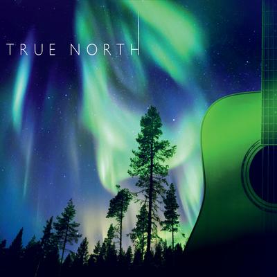 True North By Jim Green's cover