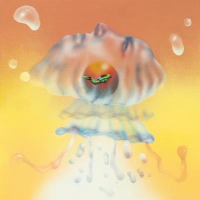 Jellyfish By Michael Seyer, Sunset Rollercoaster's cover