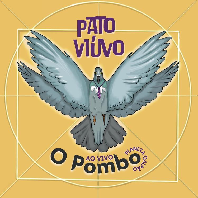 Pato Viúvo's avatar image