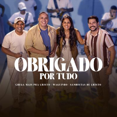 Obrigado por Tudo (Live)'s cover