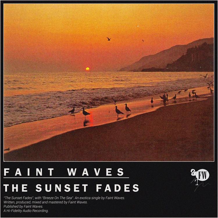 Faint Waves's avatar image