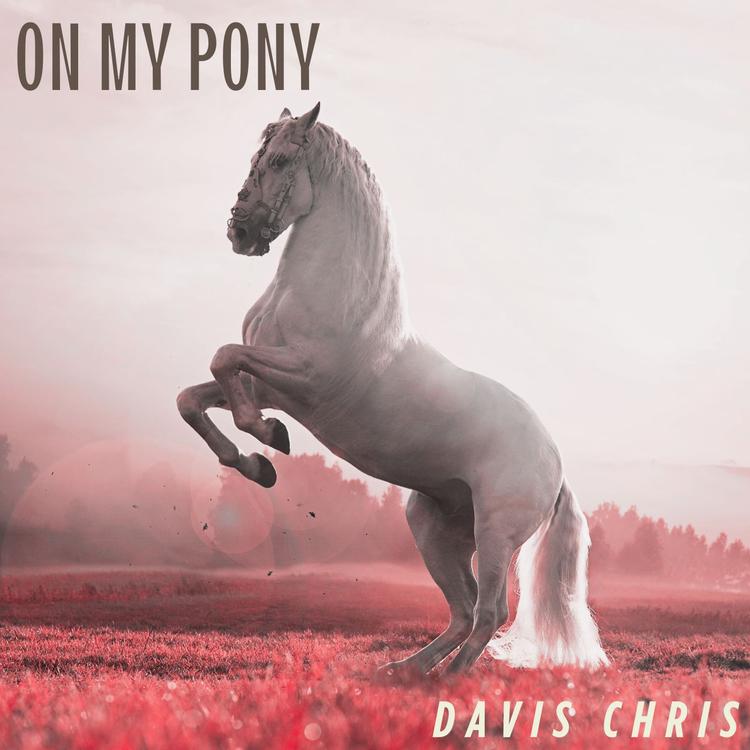 Davis Chris's avatar image