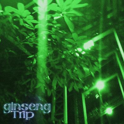 Ginseng Trip (prod. by Rollie)'s cover