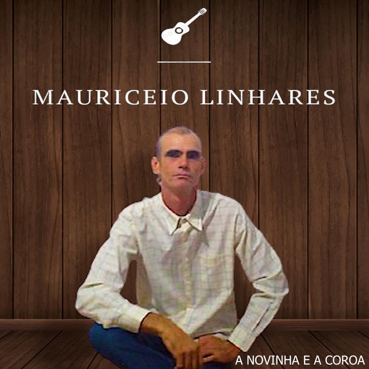 Mauriceio Linhares's avatar image