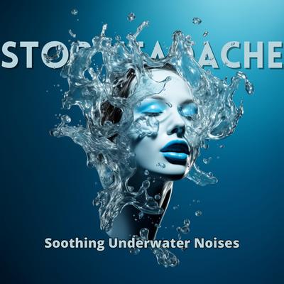 Underwater Sound Device's cover