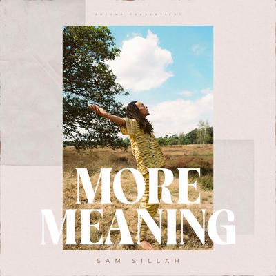 More Meaning's cover