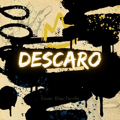 Descaro (Covers)'s cover