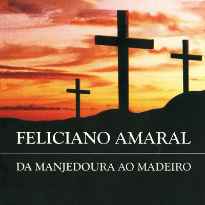 A Centésima Ovelha By Feliciano Amaral's cover