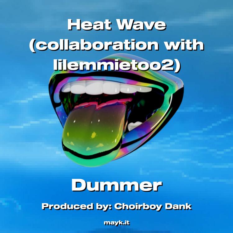 Dummer's avatar image