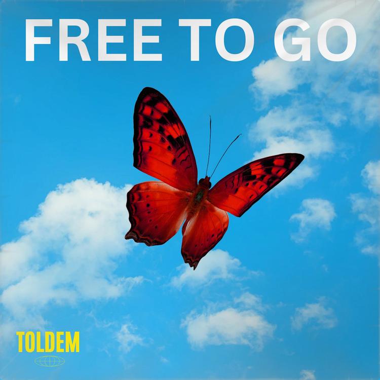 Toldem's avatar image