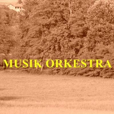 Musik Orkestra's cover