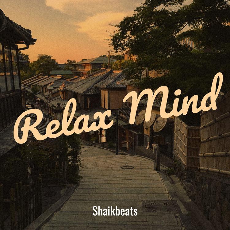 Shaikbeats's avatar image