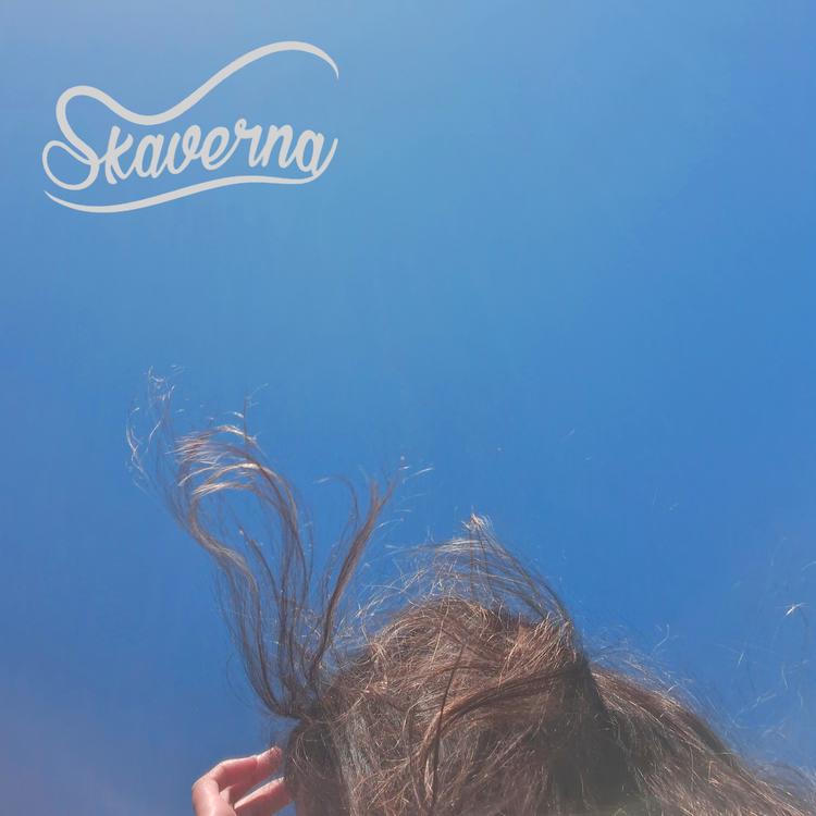Skaverna's avatar image