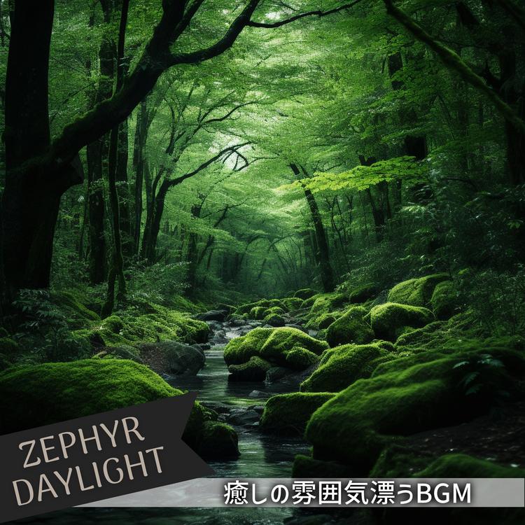 Zephyr Daylight's avatar image