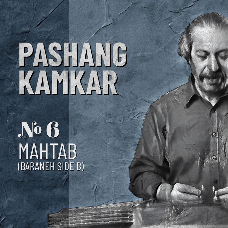 Pashang Kamkar's avatar image