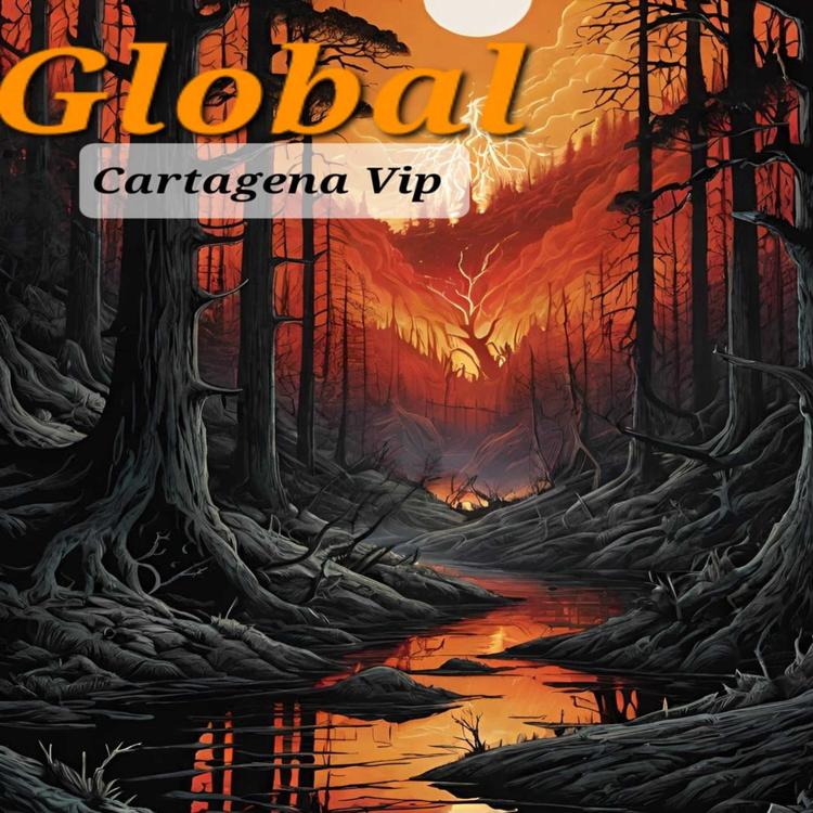 Cartagena Vip's avatar image