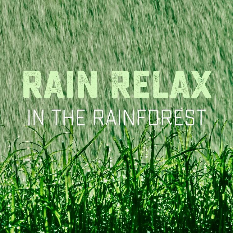 Rain Relax's avatar image