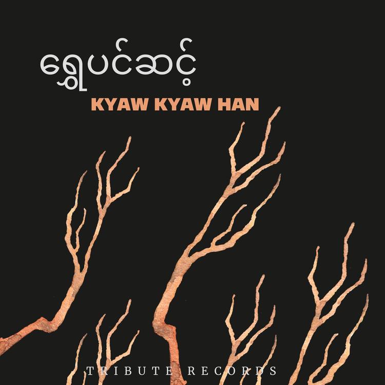 Kyaw Kyaw Han's avatar image